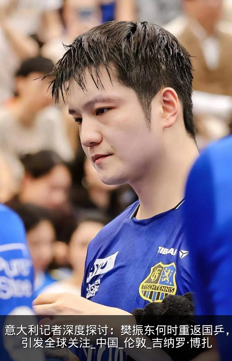 意大利记者深度探讨:樊振东何时重返国乒,引发全球关注_中国_伦敦_吉纳罗·博扎